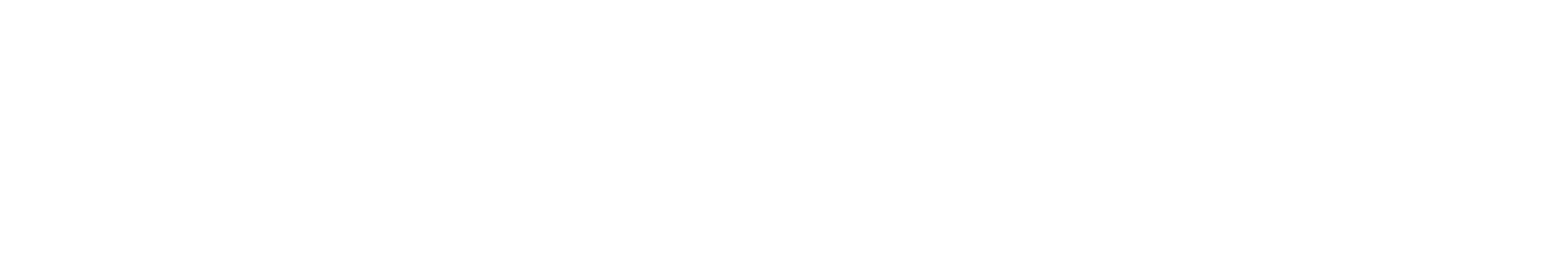 Namicaur