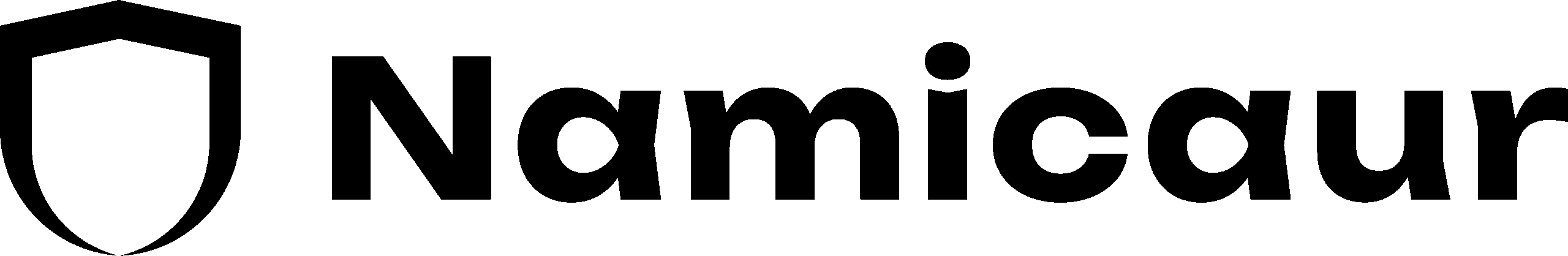 Namicaur